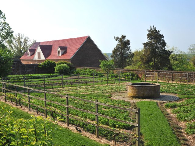 Gardens in Virginia