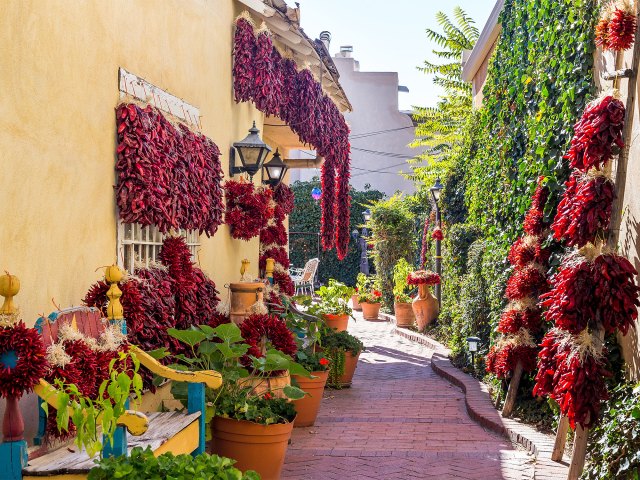 Garden tucked next to yellow building in Albuquerque, New Mexico