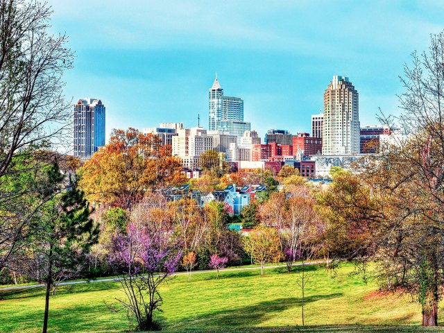 View from grassy park of downtown Raleigh skyline