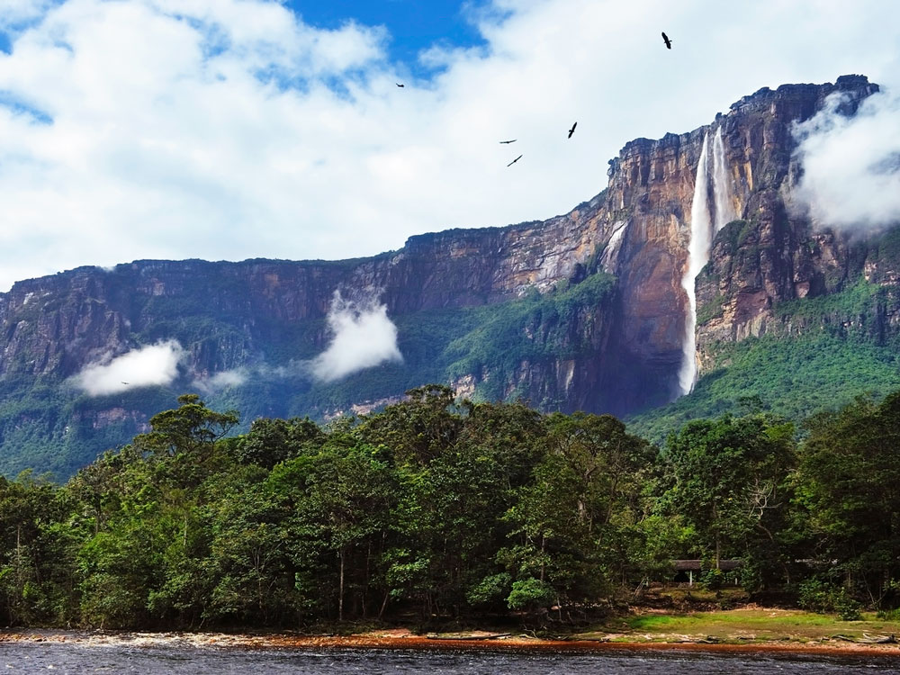 Birds flying over Angel Falls in Venzuela