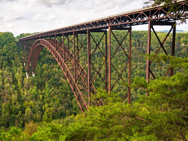 A picture of a large, arching metal bridge surrounded by green trees