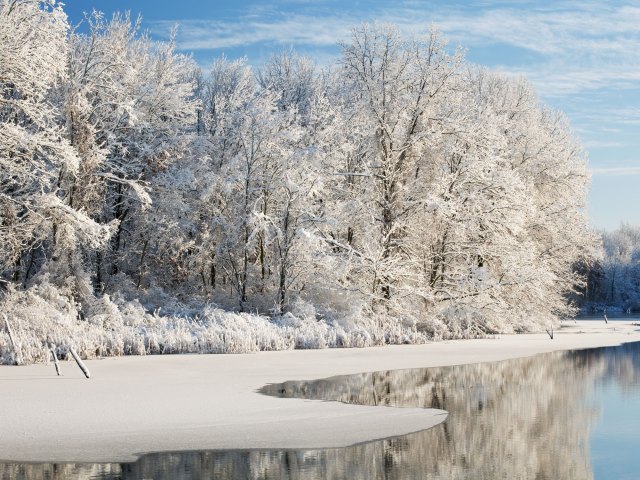 Snow-covered lakefront landscape in Michigan