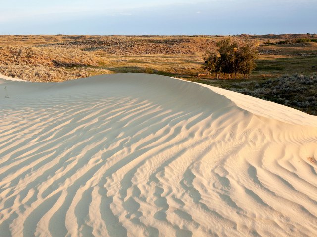 Overview of the Athabasca Sand Dunes in Saskatchewan, Canada