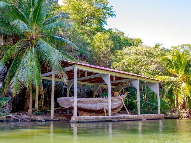 Boat dock surrounded by palm trees in the Dominican Republic