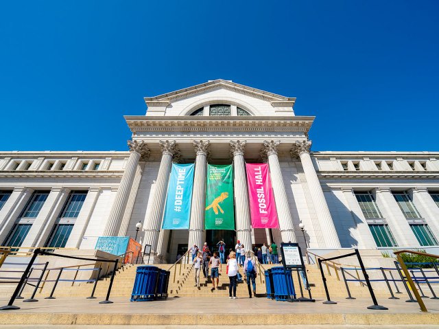 Museum goers on steps outside the Smithsonian Museum of Natural History