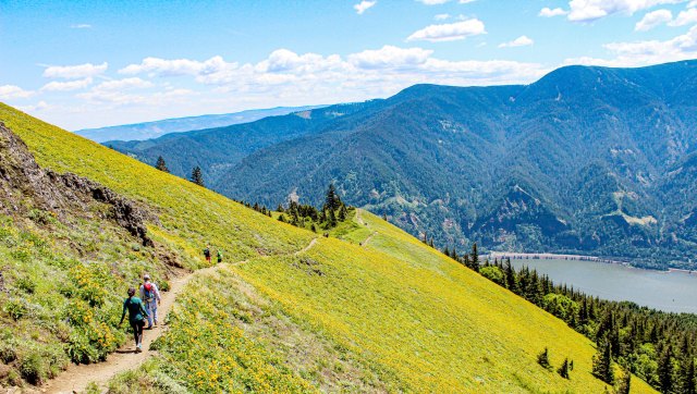 Hikers on mountaintop trail overlooking the Columbia River in Washington