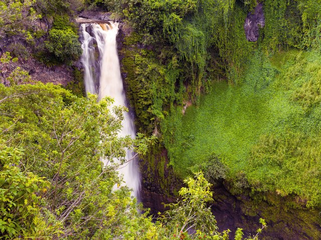 View of Waihilau Falls in Hawaii surrounded by lush greenery