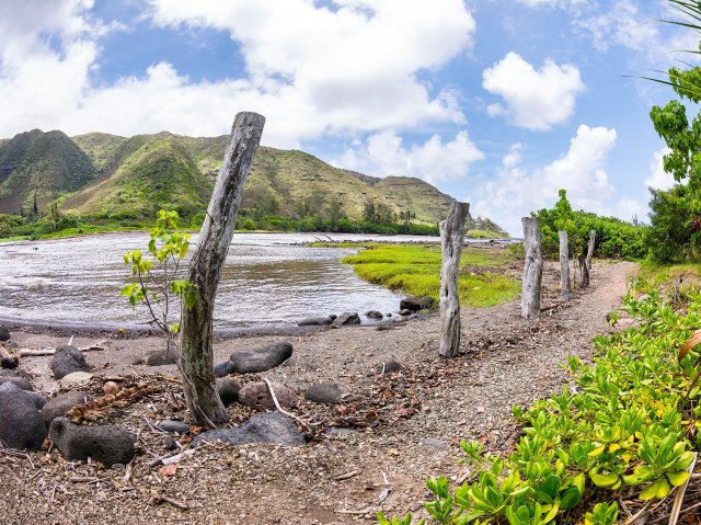 Hiking trail by like in Hawaii