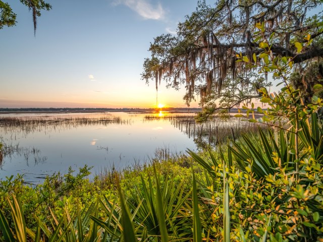 Sunset over swamp in South Carolina