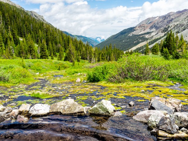 River and forest in Rocky Mountains of Colorado