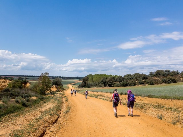 Trekkers on Spain's Camino de Santiago