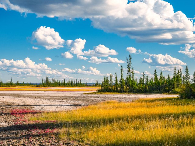 Fields and forest in Canada's Wood Buffalo National Park