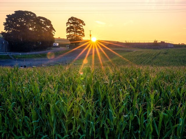 Sun setting over Richardson Adventure Farm in Spring Grove, Illinois