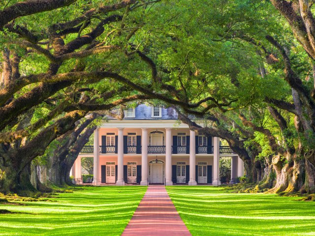 Canopy of oak trees leading to Oak Alley Plantation