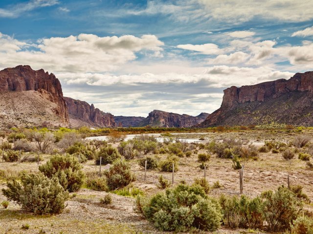 Vegetation and craggy peaks in the Patagonian Desert of Argentina