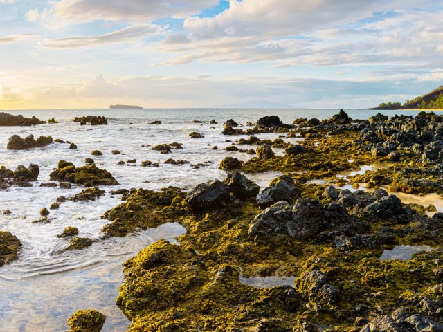 Rocky coastline of the Big Island