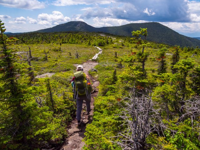 Hiker on the Appalachian Trail