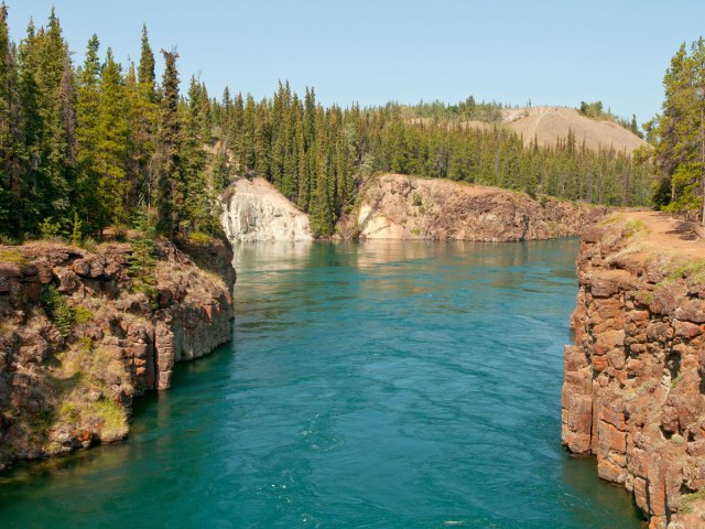 View of the Yukon River near Whitehorse