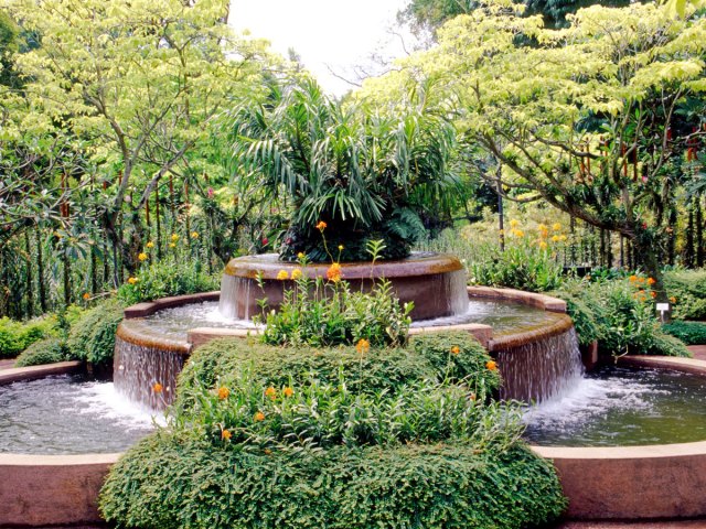 Orchids and fountain at Singapore Botanic Garden