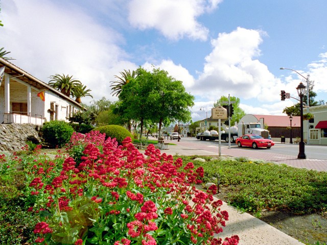 Flowers along sidewalk and street in downtown Fremont, California