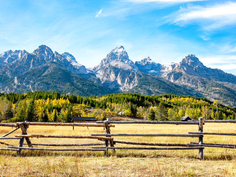 Grassy field with mountains in background in Jackson, Wyoming