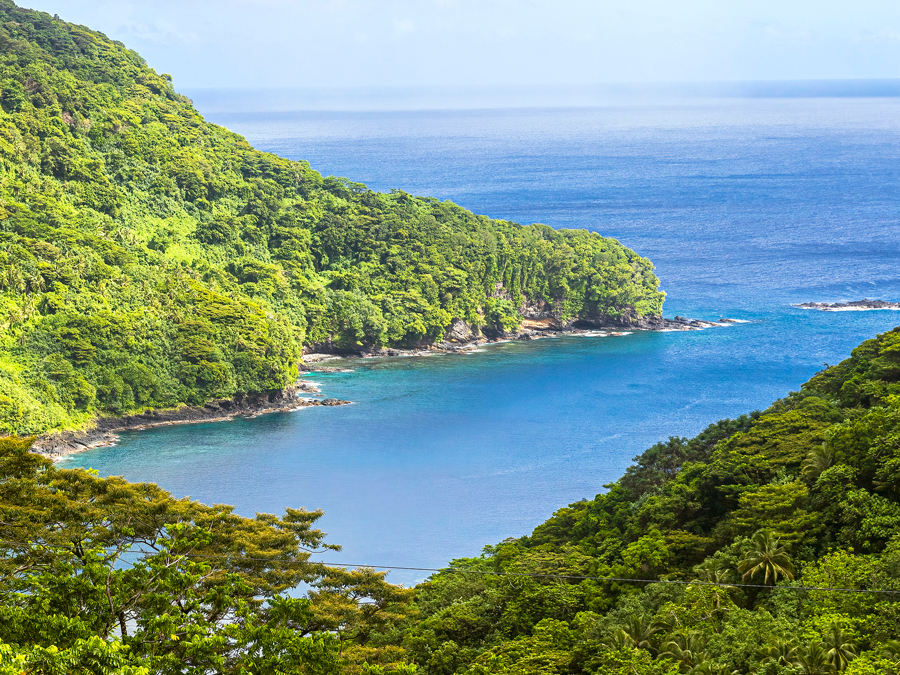 Bay surrounded by lush rainforest, seen from above, in National Park of American Samoa