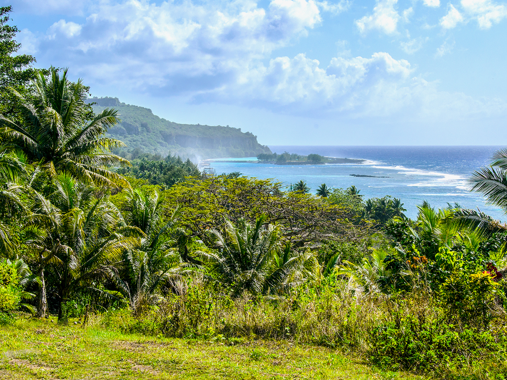 View of waves crashing along island shore beyond palm trees