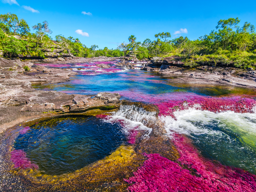 Multi-colored Caño Cristales river in Colombia