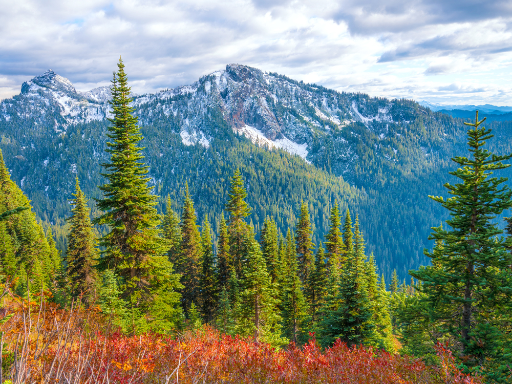 Fall foliage on Mount Rainier in Washington