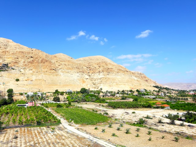 Farmland next to sandy hill in Jericho, West Bank