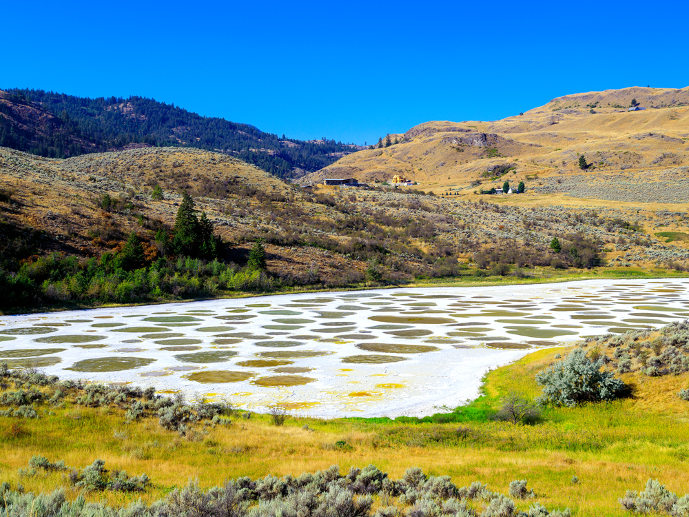 Spotted Lake in British Columbia