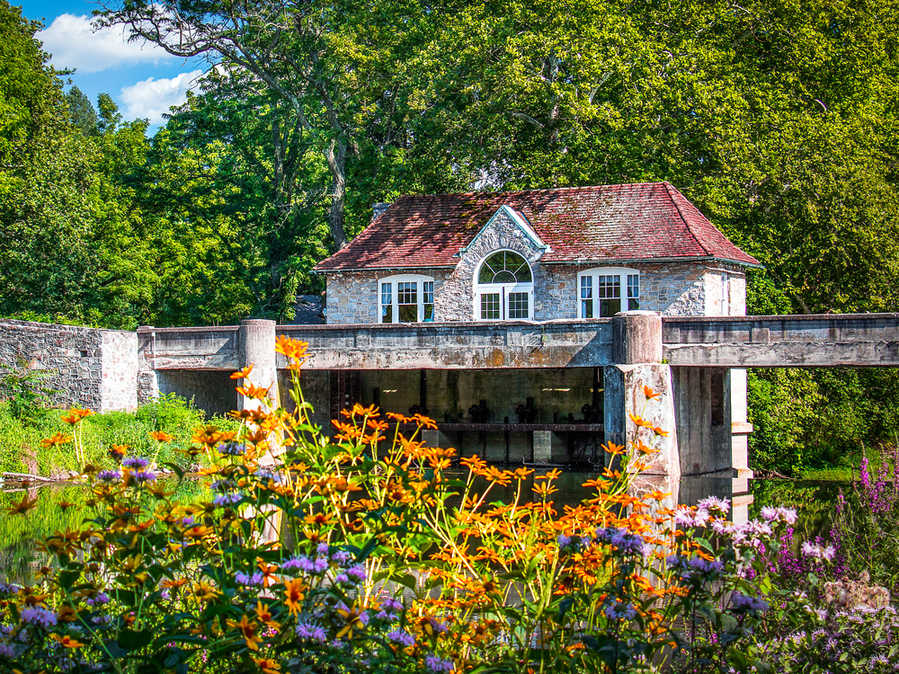 Flowers and bridge along river near Reading, Pennsylvania 