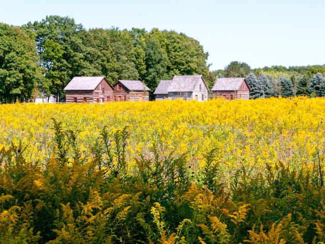 Fields of flowers and farmhouses in Green Bay, Wisconsin