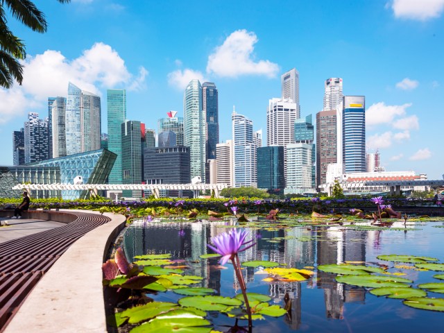 Lily pads in lake with modern Singapore skyline in background