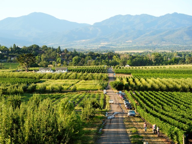 Aerial view of vineyard and mountains in Medford, Oregon