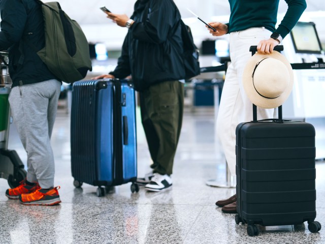 Travelers with luggage in airport queue