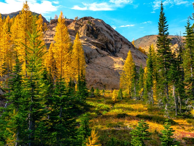 Washington's Eastern Cascades, seen during autumn