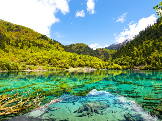 Clear waters of Five Flower Lake in China's Min Mountains