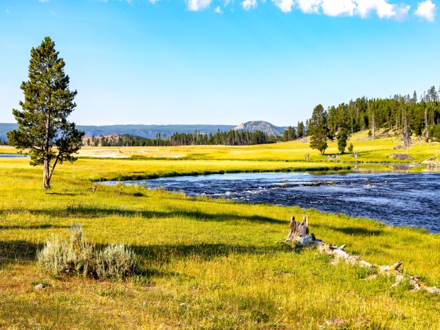 Landscape of Yellowstone National park today