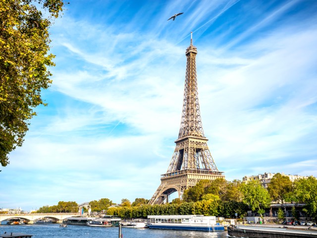 Bird flying over Eiffel Tower beside Seine River in Paris, France