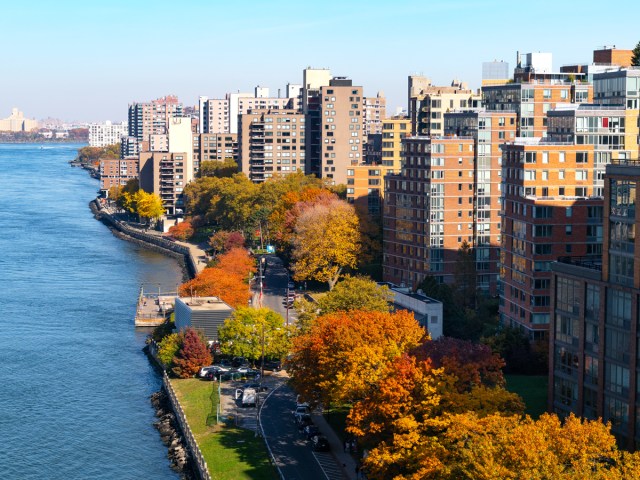 Fall foliage beside apartment buildings and East River in New York City