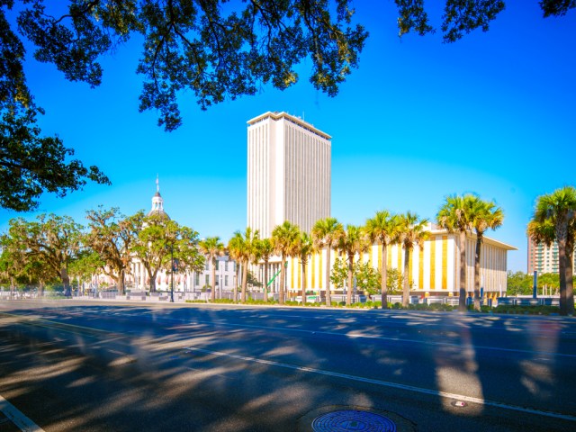 Shady street in Tallahassee, Florida