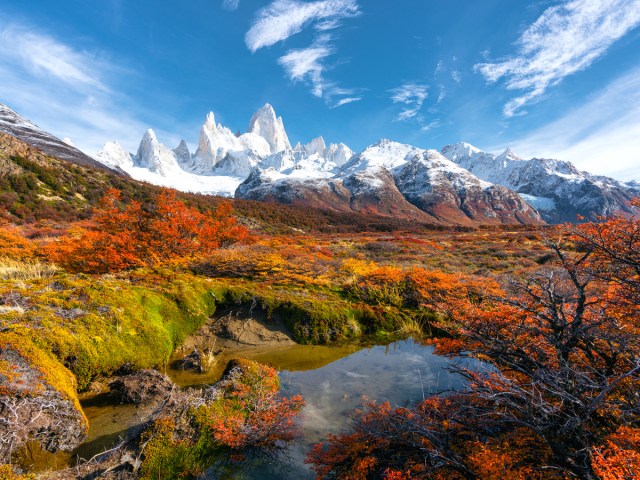 Fall colors with snow-capped peaks in Torres del Paine National Park, Chile