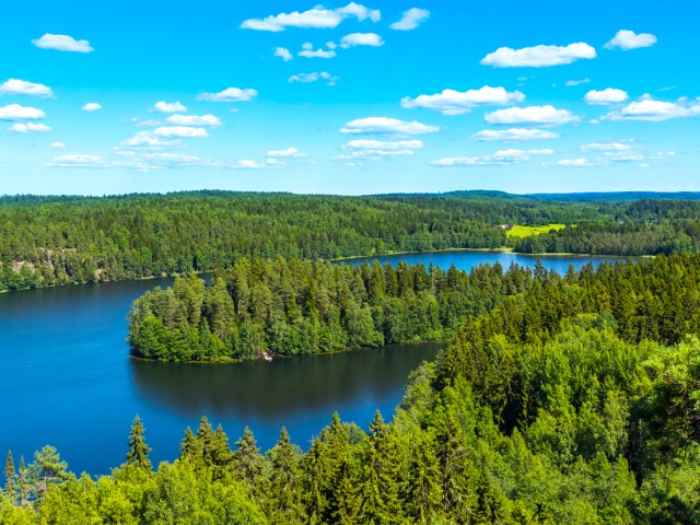 Aerial view of lakes and forest in Finland