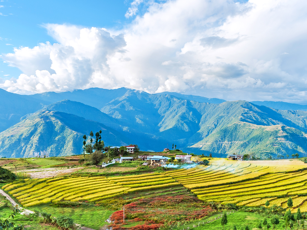 Farm surrounded by mountains in Bhutan