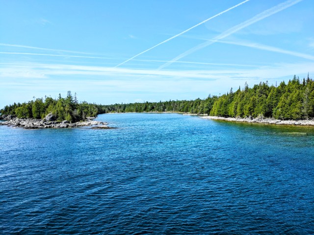 Evergreen trees along coast of Lake Huron