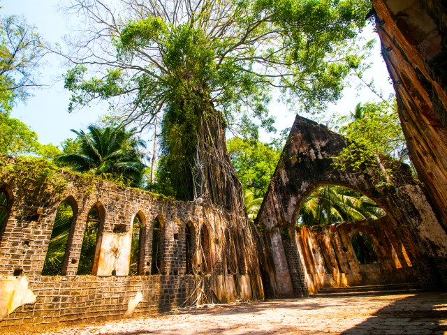 Abandoned church overgrown with foliage on India's Netaji Subhas Chandra Bose Island 