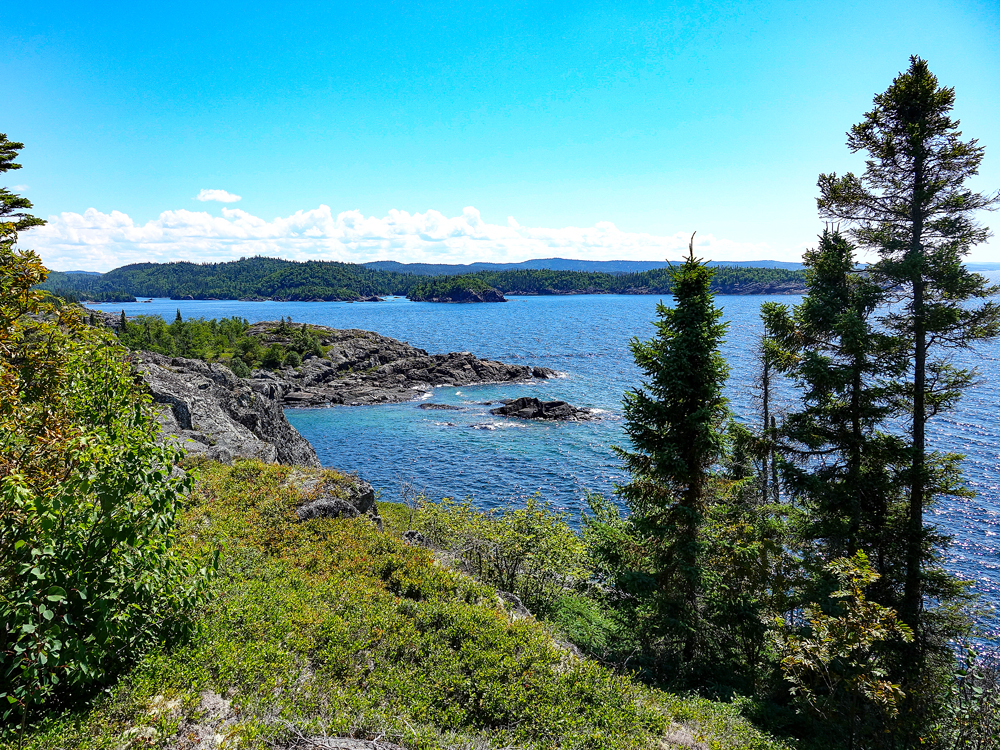 Forested area on coast of Lake Superior