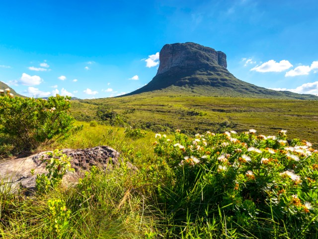 Flowers, grassy plain, and towering  rock formation in Brazil's Chapada Diamantina National Park