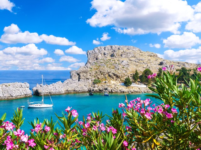 Flowers framing marina and rocky coast of Rhodes, Greece